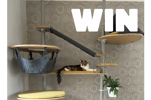 Win Omlet Freestyle Cat Tree