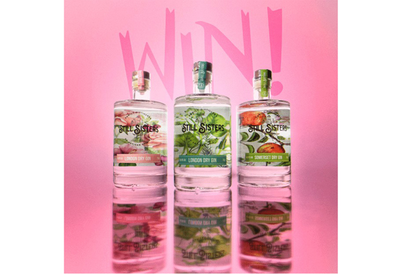 Win a Gin and Godminster Cheese Bundle