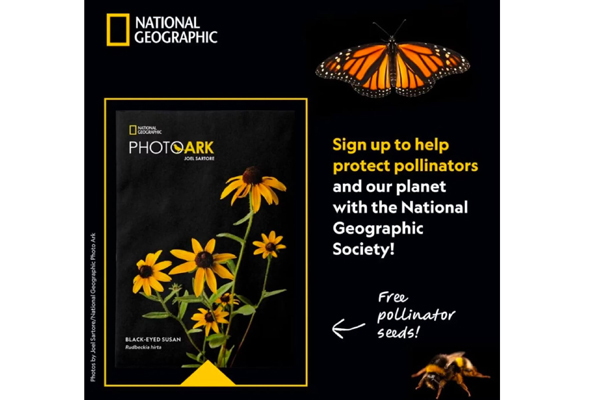 Free National Geographic Seeds