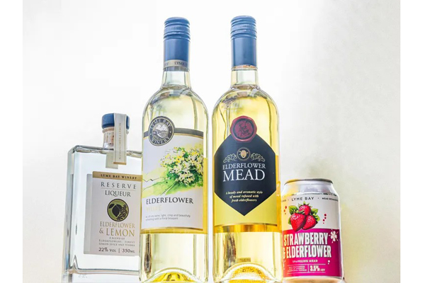 Win a Lyme Bay Winery Bundle