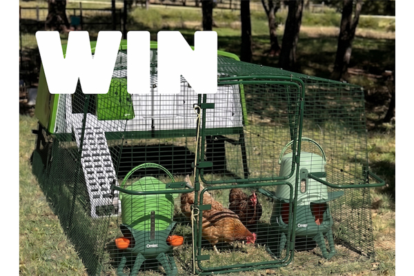 Win a Eglu Pro Chicken Coop