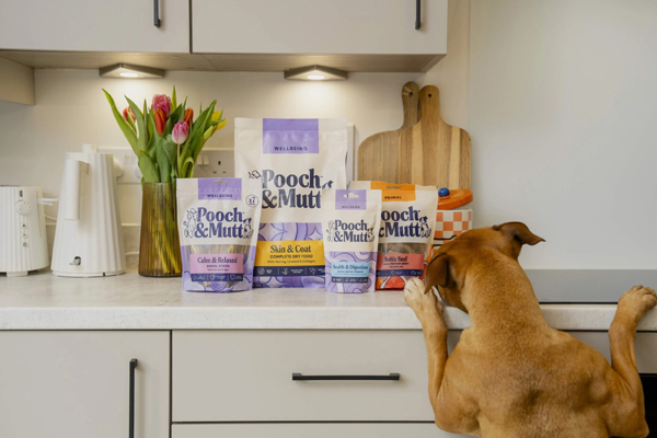 Win a Year’s Dog Food & Treats