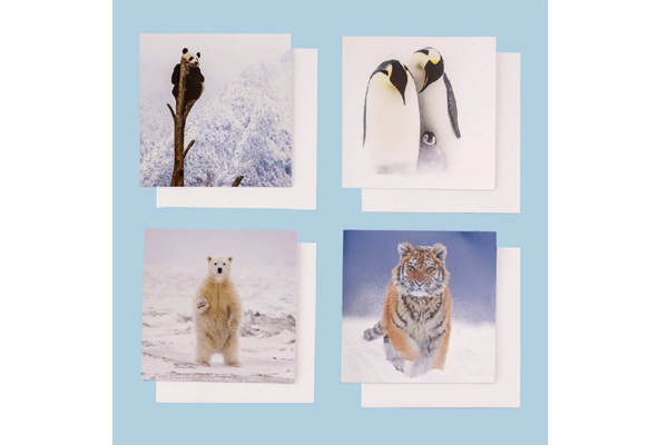 Free Christmas Cards Pack
